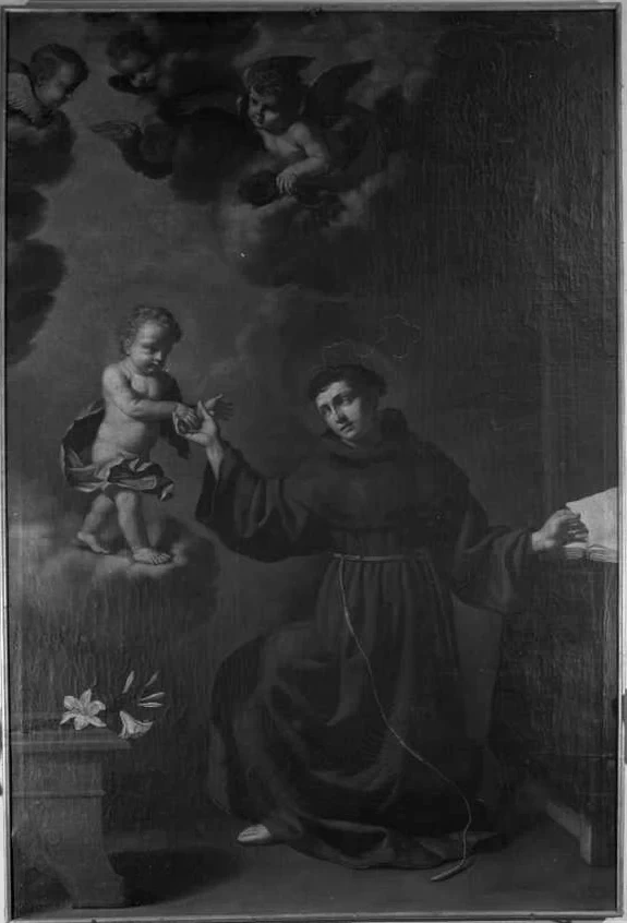 Il giovane - Sant'Antonio da Padova, Ravenna